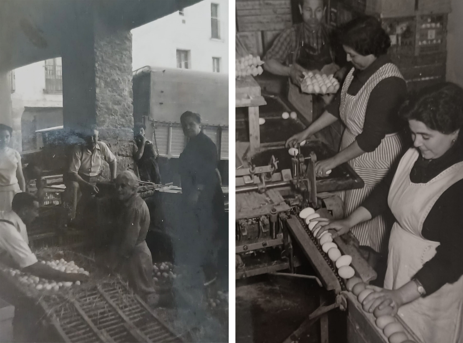 Imatges d’època del treball de classificació i transport d’ous, símbol de l’esforç familiar i de la tradició.